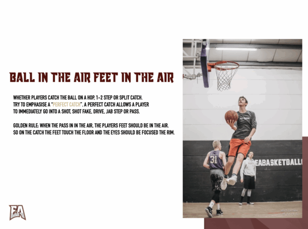The Ultimate guide for Player Development | Elite Athletes